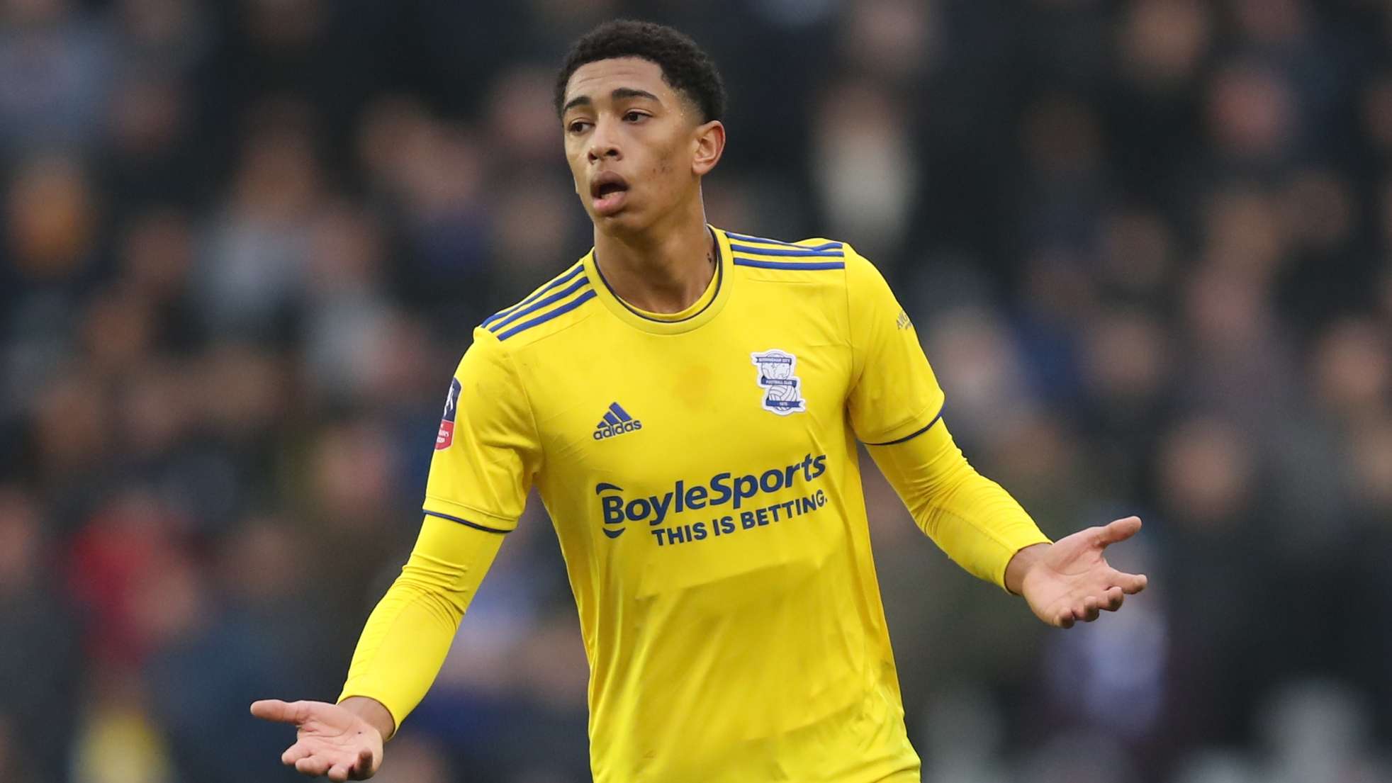 直接影响了 直接影响了